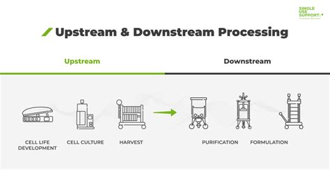 Upstream & Downstream processing