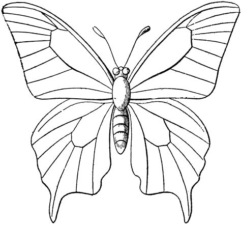 Butterfly Outline | ClipArt ETC