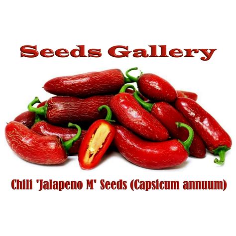 50 reference of Pepper X Seeds For Sale - Home and Family