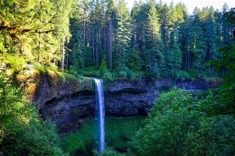 20+ Incredible Oregon Waterfall Hikes - Go Wander Wild