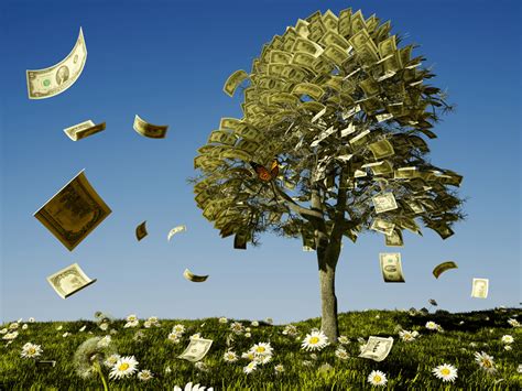 Does Money Grow on Tress? | BCCU