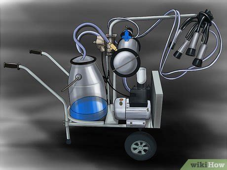 How to Milk a Cow With a Milking Machine (with Pictures) - wikiHow Pet