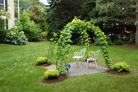 20 Best Hop Trellis Design Ideas - joey-joeysocial