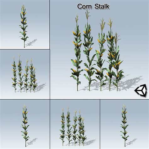 Corn Stalk (Unity) - SpeedTree