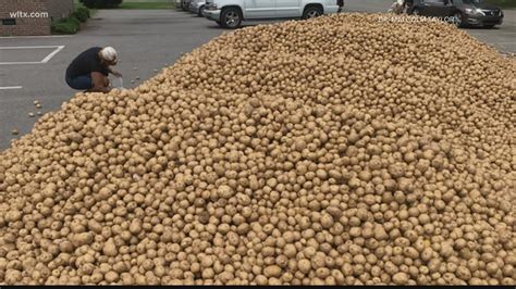 Largest potato ever? Huge potato found in 2021 | abc10.com