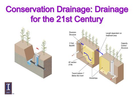 Drainage System Design and Layout