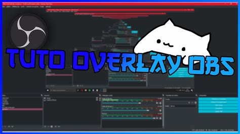 TUTO OVERLAY BONGO CAT SUR OBS (a la place de la webcam) - YouTube