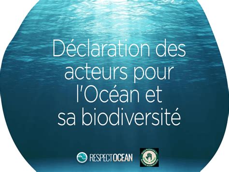 Earthship Sisters signataire de la déclaration des acteurs pour l'Océan et sa biodiversité ...