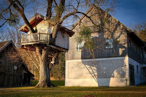 14 Treehouse Ideas for Your Backyard - LawnStarter