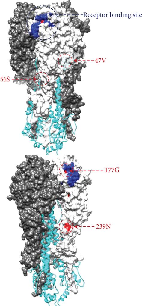 Genetic variability and genome signature in the H5N1 viral. (a) Amino ...