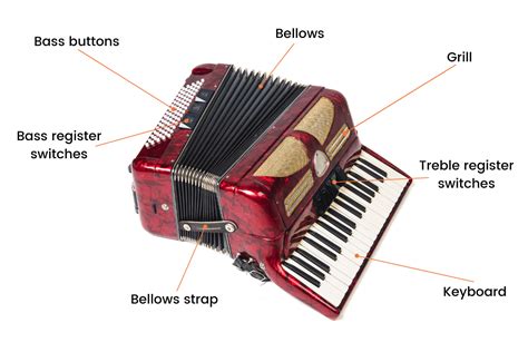 The Different Parts Of An Accordion: Anatomy And Structure