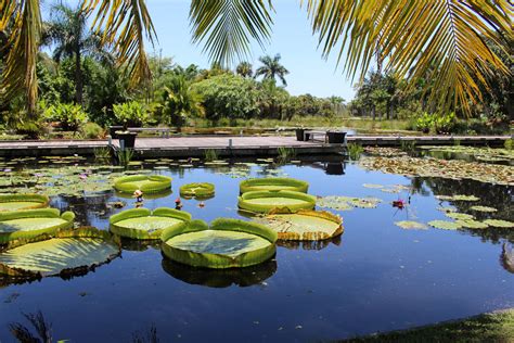 My Naples Favorites: Naples Botanical Garden - Friley Saucier