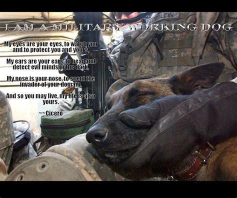 Military Working Dog Quotes. QuotesGram