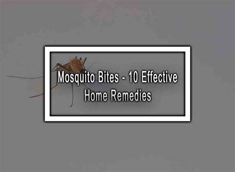 Mosquito Bites - 10 Effective Home Remedies