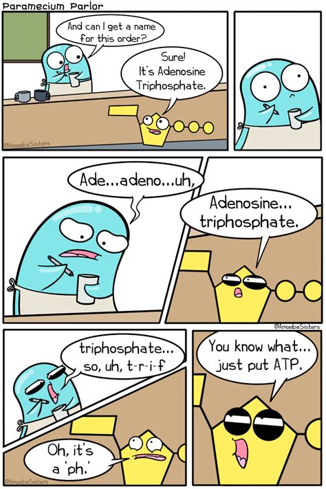 Paramecium Parlor Comics - Science with The Amoeba Sisters Science Comics, Science Cartoons ...