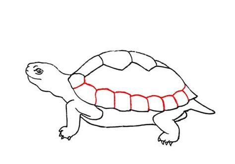 How to Draw a Tortoise step by step Part 3 – Easy Animals 2 Draw