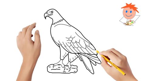 How to draw an eagle | Easy drawings - YouTube