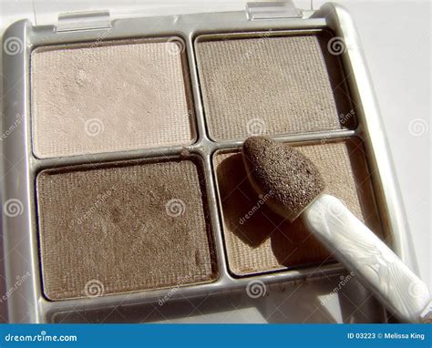 Earth Tones Eye Makeup stock image. Image of abstract, focus - 3223