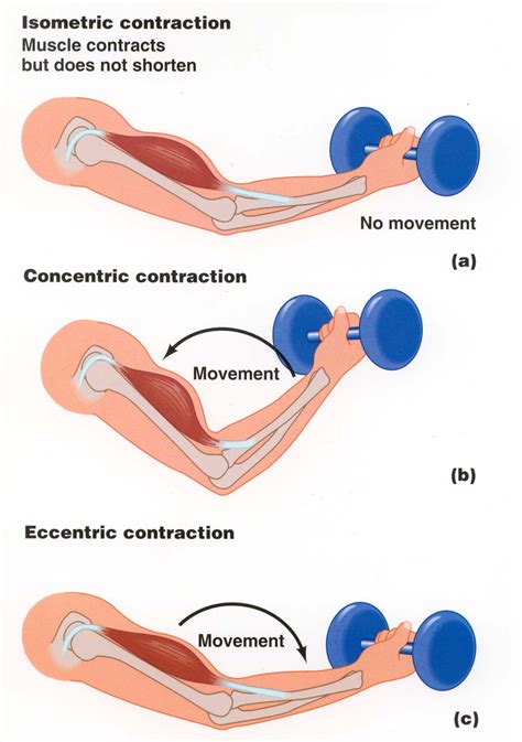 Pin on Pilates