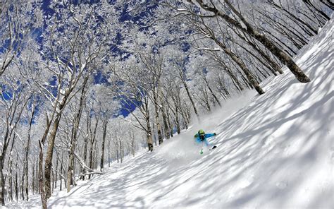 Why skiing in Japan offers a lot more than just world-class powder ...