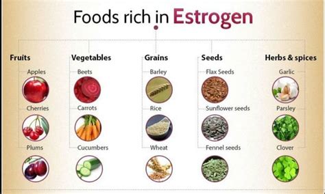 Pin by Willow Flicker on Natural Help/ Foods | Estrogen rich foods, Estrogen foods, Oestrogen