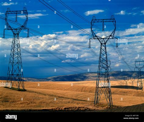 High tension towers cross a wheatfield carrying electric power from a ...