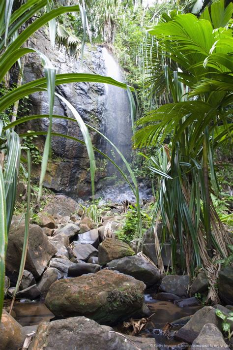 Waterfall in the Vallee de Mai Nature Reserve, UNESCO World Heritage Site, Baie Sainte Anne ...