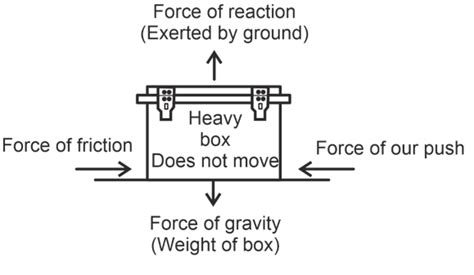 Balanced and unbalanced forces | class 8 science | PW