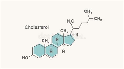 Structural Chemical Formula of Cholesterol. Infographics Illustration. Stock Vector ...