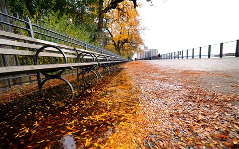 new york waterfront autumn scene - Desktop Wallpaper