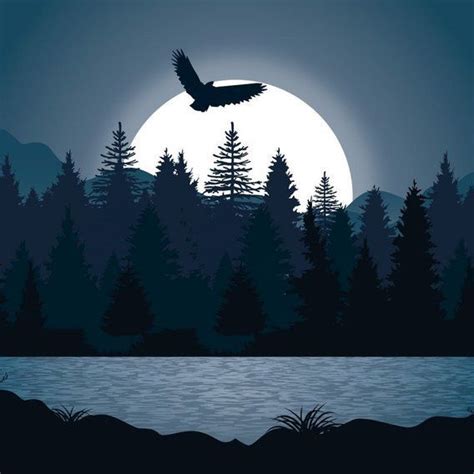 Beautiful Night Forest Illustration | Forest illustration, Night forest, Night illustration