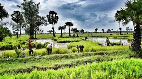 The Perfect Trip To Cambodia