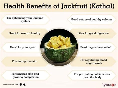 Jackfruit (Kathal) Benefits And Its Side Effects | Lybrate