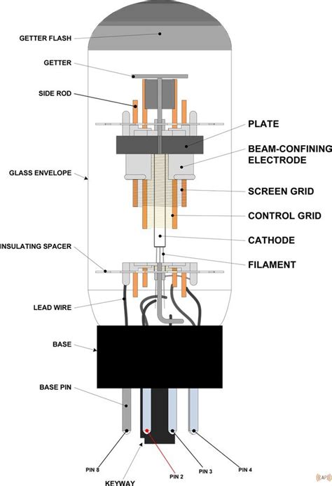 6L6 Tube Diagram | Amplified Parts | Vintage electronics, Vacuum tube ...