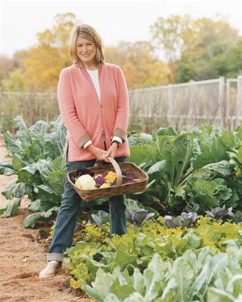 Cantitoe Corners: Martha's Vegetable Garden | Martha Stewart