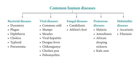 Common diseases in human beings