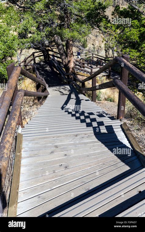 Stairs to overlook platform; Yellowstone River; Grand Canyon of the Yellowstone, Yellowstone ...