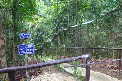 Juan Trip At A Time: Tarsier Conservation Area: Not Exactly A ...