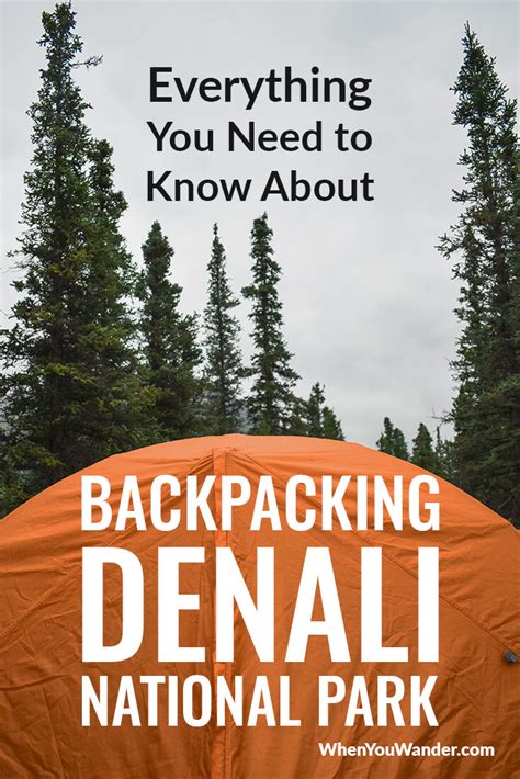 Backpacking Denali National Park: What You Need to Know | When You Wander