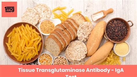 Tissue Transglutaminase Antibody - IgA (tTG IgA): Purpose & Normal Range of Results | 1mg