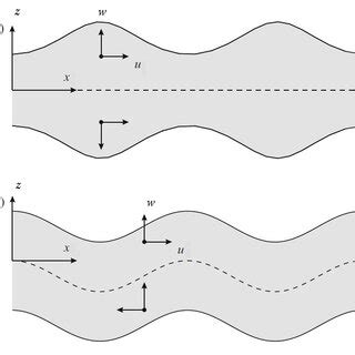 Displacement components of the fundamental Lamb wave modes. (a ...