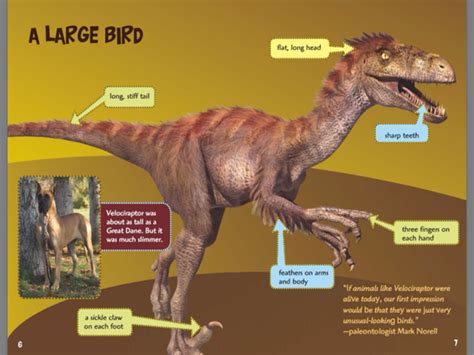 ‎Velociraptor on Apple Books