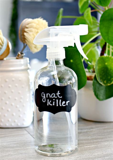 Pin on homemade cleaners diy