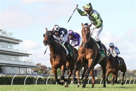 Caulfield Cup Winners 1879 - 2023 | Past Race Results | Neds