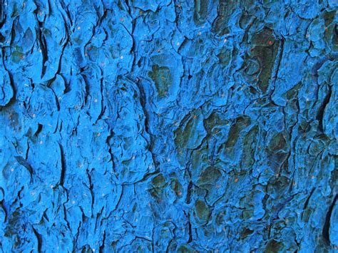 Blue Wood Texture 42529481 Stock Photo at Vecteezy