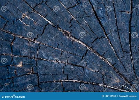 Background and Texture Photo of the Timber Stock Image - Image of ...