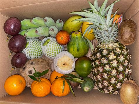 Online Tropical Fruit Box Delivery | Nationwide Free Shipping – The ...