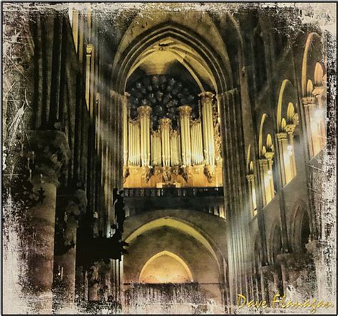 Notre Dame Cathedral Organ. | Arth Wen Photography and Imagery. | Flickr