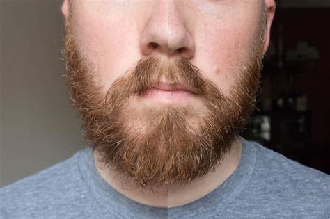 How To Trim a Beard With Scissors (With Pictures!) | Tools of Men