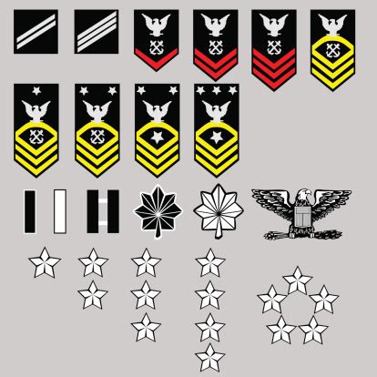 Us Navy Enlisted And Officer Rang Insignia In Vector Format Stock ...